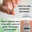 advanced-sea-moss-sea-moss-advanced-form-5.jpg