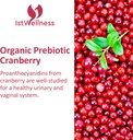 Probiotics for Women - 300 Billion CFU Probiotic, 12 Strains Probiotics with Prebiotics Cranberry, Selected Women’s Probiotic for Women’s Daily Digestive Gut Vaginal & Urinary Health, 60 Capsules 4
