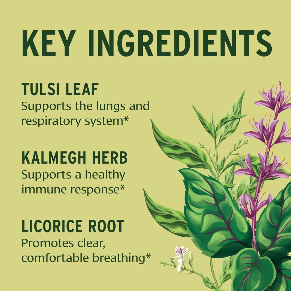 Banyan Botanicals Immune Strong – Organic Supplement with Turmeric & Tulsi ­­– Ayurvedic Immune Formula That Supports The Body's Natural Defenses* – 90 Tablets – Non-GMO Sustainably Sourced Vegan 3