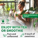 120ml Mullein Leaf Tincture - Lung Cleanse - Vegan Lung Detox - Respiratory Health and Immune Support Drops - Natural Supplement Liquid Extract 4 fl.oz.Chlorophyll 6