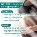 BHK's Prenatal DHA Algae Oil, Support for Mamas, Baby’s Brain and Nervous System Development from Pregnancy to Nursing, Omega-3, 60 Softgels 4