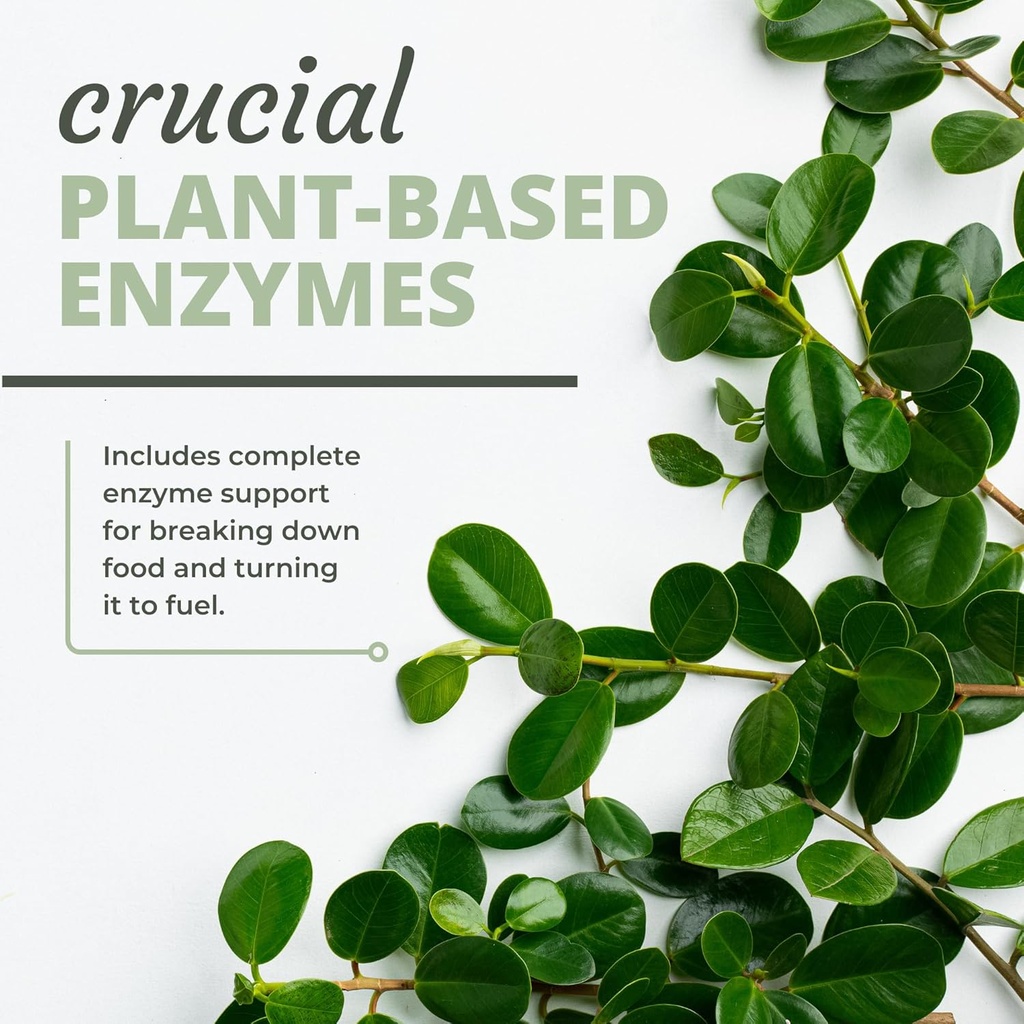 Optimal Health Systems Digest-A-Meal | Gut Health Enzyme & Probiotic | Bloating, Acid Reflux, & Indigestion Relief + Aloe Vera Leaf | Digestion Supplement | 270 Capsules Family Size 6