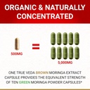 Organic Moringa Capsules Organic - Moringa Oleifera Capsules | Natural Herbal Supplement from Moringa Leaves | Certified USDA Organic | Vegan | Moringa Leaf Capsules Superplant | 60 Moringa Pills 4