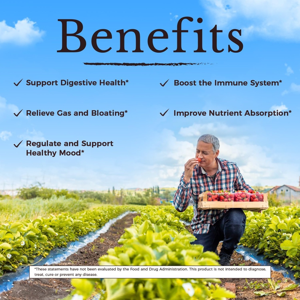 Vitalitown Probiotics 120 Billion CFUs | 36 Strains, with Prebiotics & Digestive Enzymes | Shelf Stable | Digestive Health & Immune Support | Vegan, Non-GMO | Pack of 1 | 60 Delayed Release Veg Caps 6