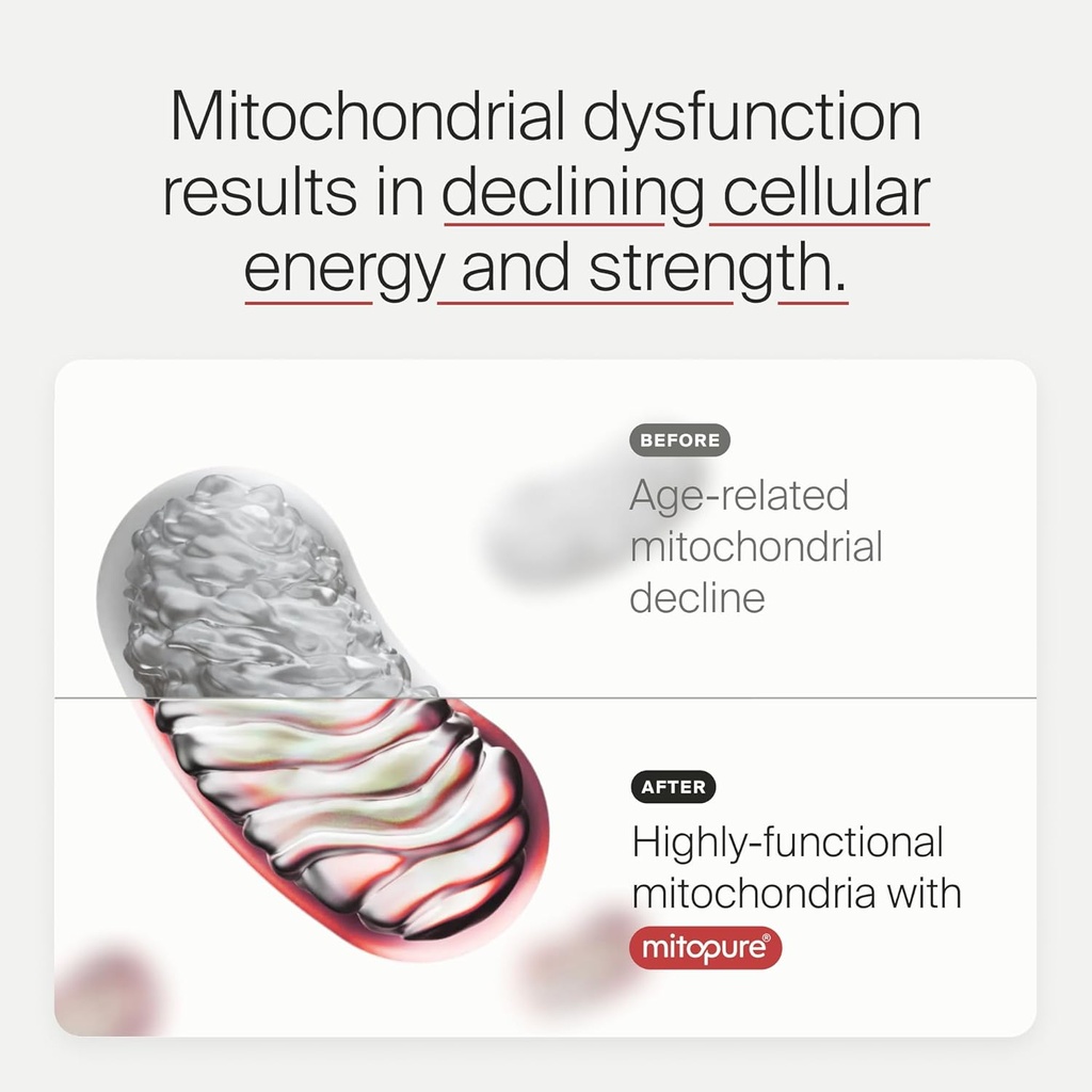 Timeline Mitopure Urolithin A Supplement Powder - Clinically Proven Support for Healthy Aging and Cellular Renewal - Mitoceutical for Muscle Support and Longevity 6