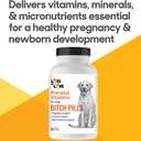 Bitch Pills - Pregnant Dog Prenatal Vitamins - 45 Tablets 5