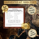 Shilajit Resin - 75% Fulvic Acid, 85+ Trace Minerals, Supports Vitality & Stamina - Includes Steel Spoon, 30g, Lab Tested for Purity 5