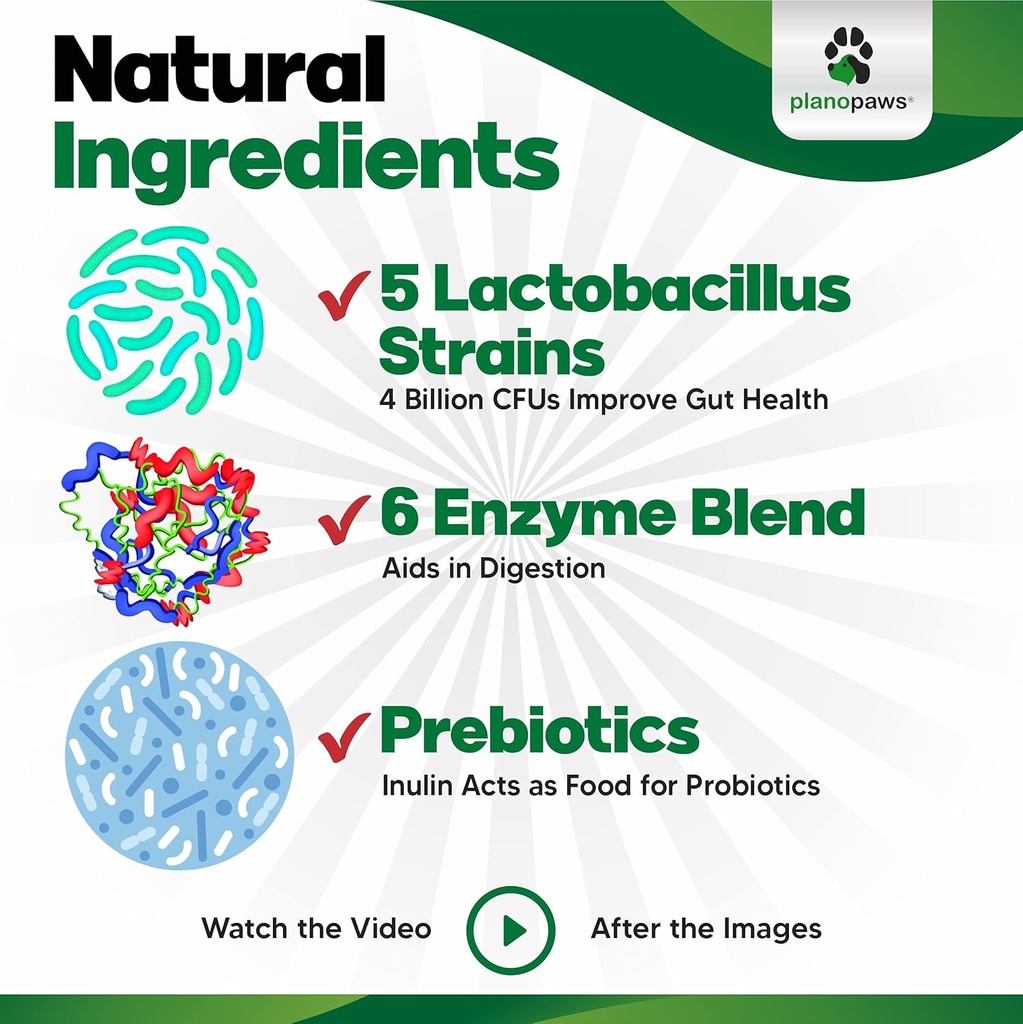 Probiotics for Dogs Digestive Health - Dog Probiotics and Digestive Enzymes - Allergy Relief for Dogs - Probiotic for Dogs Gut Health - Puppy Probiotic Tummy Treats - 120 Dog Probiotic Chews 6