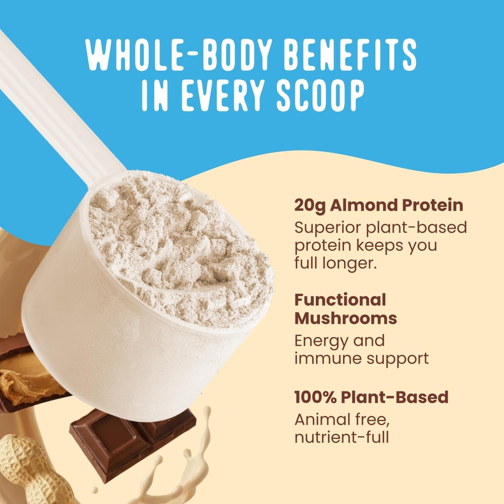 FlavCity Vegan Protein Powder - Chocolate Peanut Butter - 20g Almond, Plant Based Protein Powder - Dairy-Free Shake - With Organic Fruit, Reishi & Cordecyps Mushrooms - No Blender Needed (15 Servings) 5
