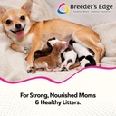 Breeder's Edge Oxy Momma Soft Chews, Postnatal Vitamin Supplement for Lactating Dogs and Cats, Supports Recovery, Hormones, and Next Pregnancy - for Small Dogs & Cats, 40ct Soft Chews 3