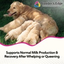 Breeder's Edge Oxy Momma Soft Chews, Postnatal Vitamin Supplement for Lactating Dogs and Cats, Supports Recovery, Hormones, and Next Pregnancy - for Small Dogs & Cats, 40ct Soft Chews 6