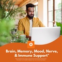 Bold Botanica Lion’s Mane Mushroom Capsules - 100% Fruiting Body – Concentrated Organic Lion’s Mane Extracts – Nootropic Brain Health – Memory, Mood, Immune Support – 60 Vegan Capsules 4