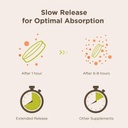 Endur-B Complex - Sustained Release - Vitamin B Supplement with B1, B2, B3, B6, B12, Folic Acid, Biotin - 300 Tablets - Endurance Products Company 4