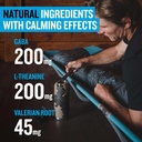 PROTEKT GABA L Theanine Supplement | Melatonin-Free Sleep Aid for Adults | Valerian Root for Night Support & Restful Sleep | GABA Calm Liquid Drink Mix for Adults | Lemon Ginger, Pack of 10 5