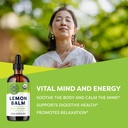 Vimergy Organic Lemon Balm Tincture Herbal Supplement – 175 mg of 10:1 Lemon Balm Extract per Serving, can be Used in Tea - USDA Certified Organic, Non-GMO, Alcohol-Free –115 mL (1 mL/Serving) 3