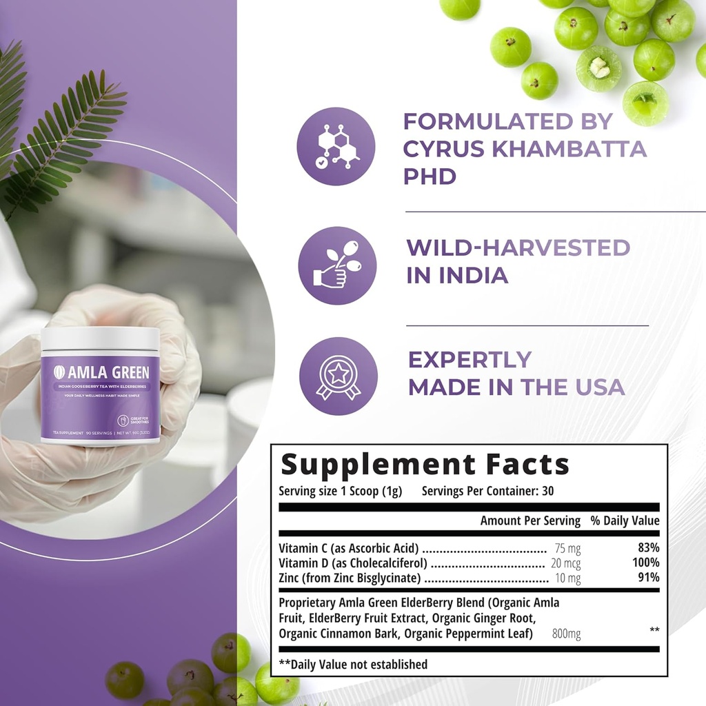 Amla Powder & Immunity Blend Superfood Supplement with Elderberry, 20x Ultra Concentrated Amla, Immune Support, Made with Ginger, Cinnamon, Peppermint, Indian Gooseberries, Immunity, 90 Servings 3