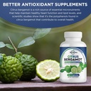 Organic Citrus Bergamot Extract Capsules - 120 caps Citrus Bergamot Supplement - Enhanced with Coenzyme Q10 & Vitamin C, E & Zinc - for Heart, Immune System Support, Healthy Aging - Pure, Vegan Pills 3