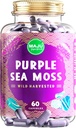 MAJU's Powerful Purple Sea Moss Capsules (60 ct), Extra-Strength Purple Minerals, Chondrus Crispus, Stronger Than Gel, Compare to Organic Irish Seamoss Capsule, Wild Harvested Powder Pills 2