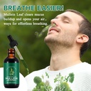 Mullein Drops for Lungs 4 Fl Oz - Mullein Leaf Extract for Lungs with Chlorophyll - Natural Herbal Supplement for Lung Cleanse, Respiratory Support, Boosts Immunity, Digestive Wellness 4