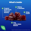 Natrol Mood+ Stress Relax+ Day Calm Gummies for Occasional Stress, Tropical Fruit Punch, 60 Count, 60 Day Supply 4