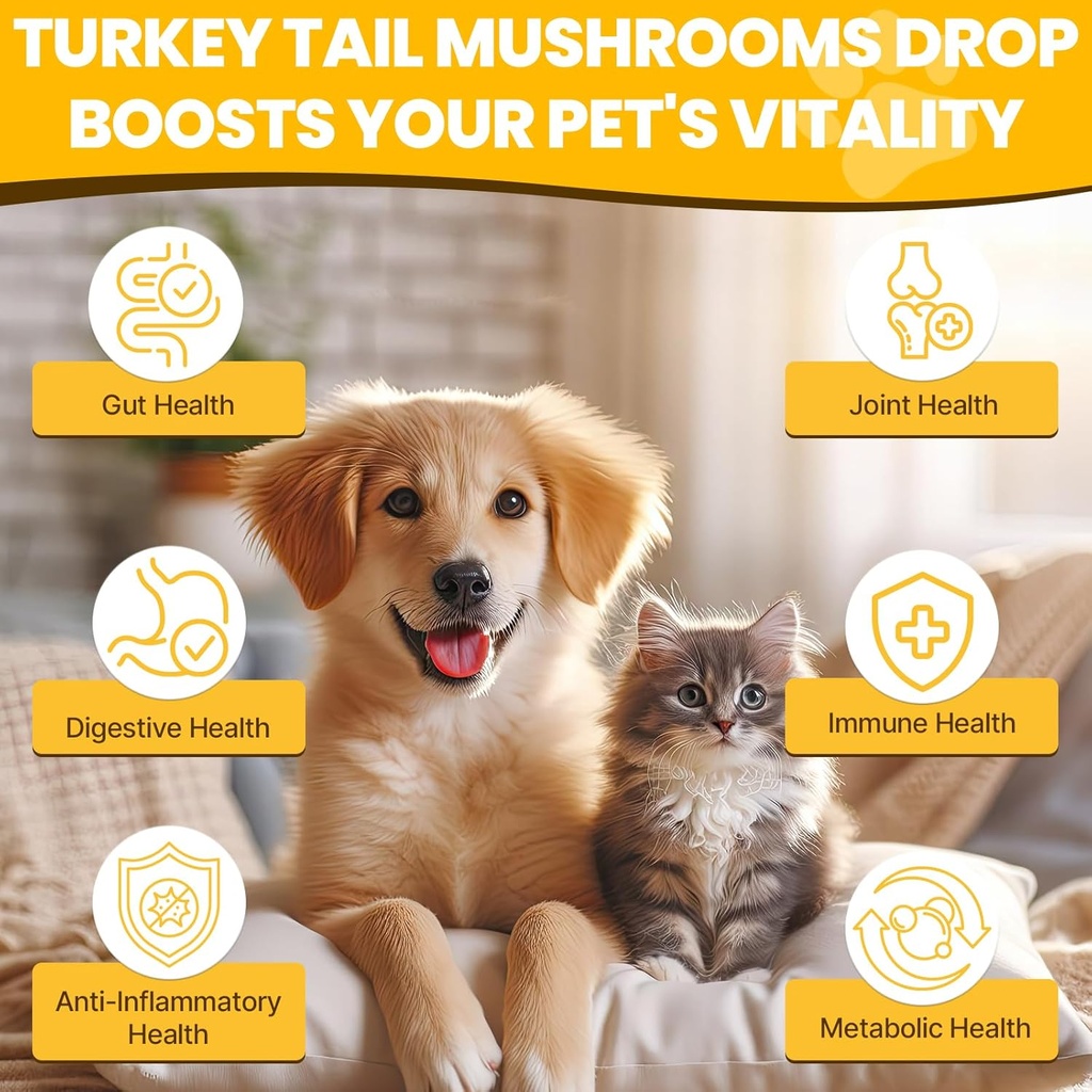 Turkey Tail Mushroom for Dogs - Faster Absorption 2000mg Turkey Tail Mushroom for Immune & Digestive, Joint, Energy, 5X Mushrooms for Pet Drop with Turmeric & Probiotic - Vet Formulated, 90 ML/3FL.oz 3