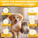 Turkey Tail Mushroom for Dogs - Faster Absorption 2000mg Turkey Tail Mushroom for Immune & Digestive, Joint, Energy, 5X Mushrooms for Pet Drop with Turmeric & Probiotic - Vet Formulated, 90 ML/3FL.oz 3
