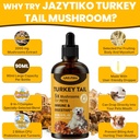 Turkey Tail Mushroom for Dogs - Faster Absorption 2000mg Turkey Tail Mushroom for Immune & Digestive, Joint, Energy, 5X Mushrooms for Pet Drop with Turmeric & Probiotic - Vet Formulated, 90 ML/3FL.oz 6