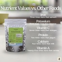 Zen Principle 1 lb. Premium Organic Moringa Oleifera Leaf Powder. USDA Certified Organic. 6