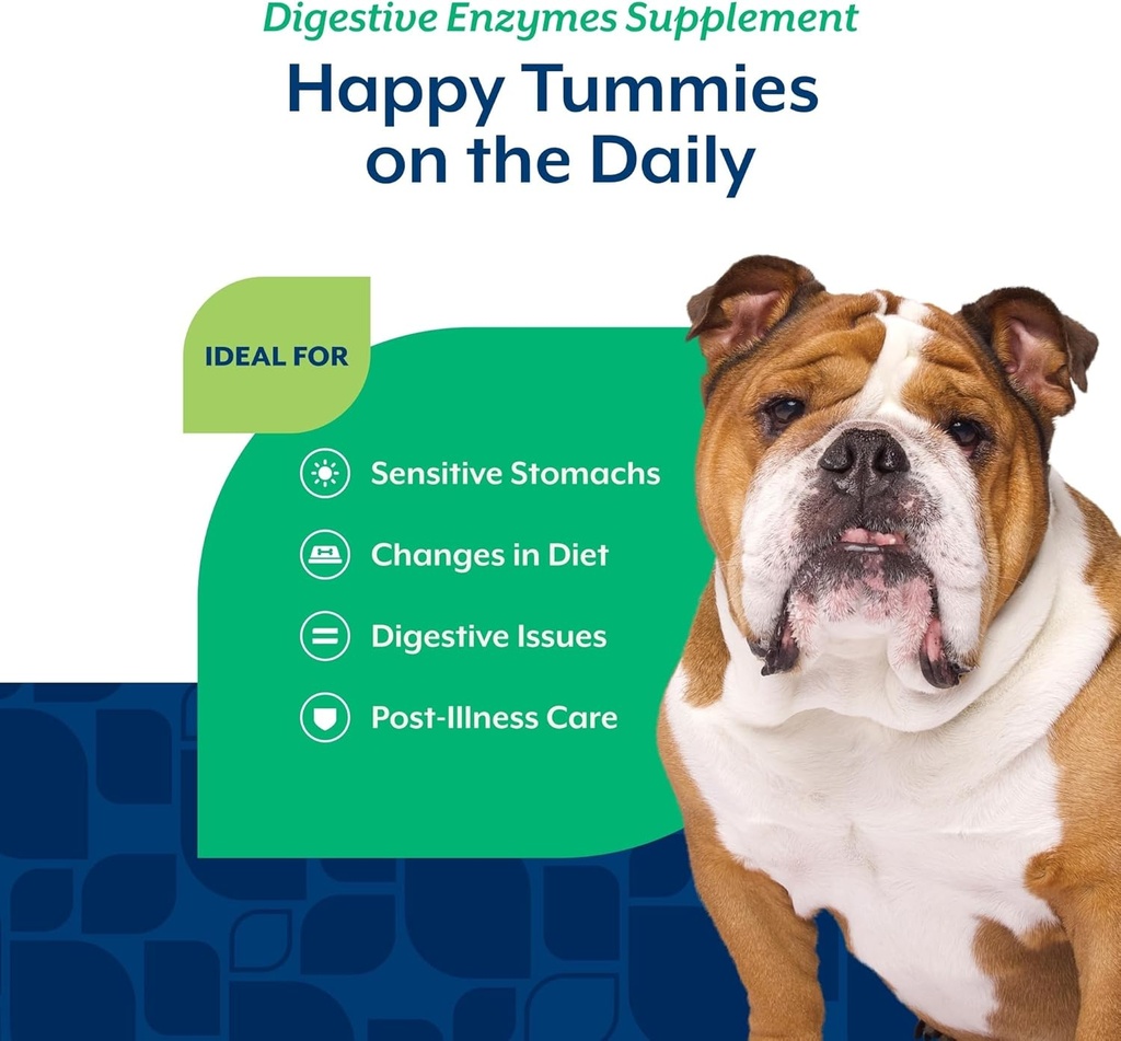 NaturVet – Digestive Enzymes - Plus Probiotics & Prebiotics – Helps Support Diet Change & A Healthy Digestive Tract – for Dogs (Soft Chews, 70 Count) 5