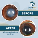 Eye Drops for Pets | Clinically Studied Antioxidants for Pets with Cataracts | Made in The USA | Includes 2% N-Acetyl-L-Carnosine (NAC) | 16mL 5