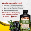 Barlean's Peppermint Olive Leaf Complex Liquid Immune Support Supplement, 95mg Oleuropein Antioxidants, 16 oz 4