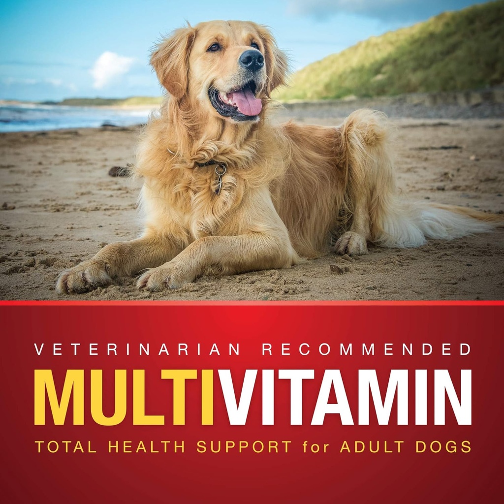 VetIQ Multivitamin Supplement for Dogs, Health Support Supplement Soft Chews, 90 Count 3