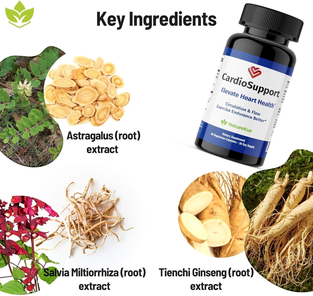 NatureKue CardioSupport | Heart Health Supplements | Enhance Exercise Endurance | Astragalus Extract | Herbal Supplements | 60 Vegetarian Capsules | 30-Day Supply 5