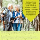 CoQ10 Max High Absorption Supplement with Turmeric Curcumin - 100 mg Capsules - Vegan - Heart Health, Energy, Mitochondria, Antioxidant with Cavacurmin™, HydroQsorb® Coenzyme 5