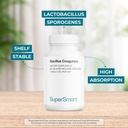Supersmart Bacillus Coagulans Probiotic 4 Billion CFU per Day (High Absorption) - Lactobacillus Sporogenes Supplement | Non-GMO & Gluten Free - 60 Delayed Release Capsules 4