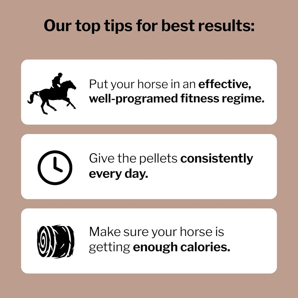 Formula 707 MuscleMx Equine Supplement, 3lb Bag – Conditioning Support and Muscle Builder for Horses with Lysine, Gamma Oryzanol, Creatine & OKG 6