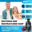 HERBIFY Bundle - Mullein Leaf Extract & Biotin and Collagen - Respiratory Support & Hair Skin and Nails Vitamins Support 6
