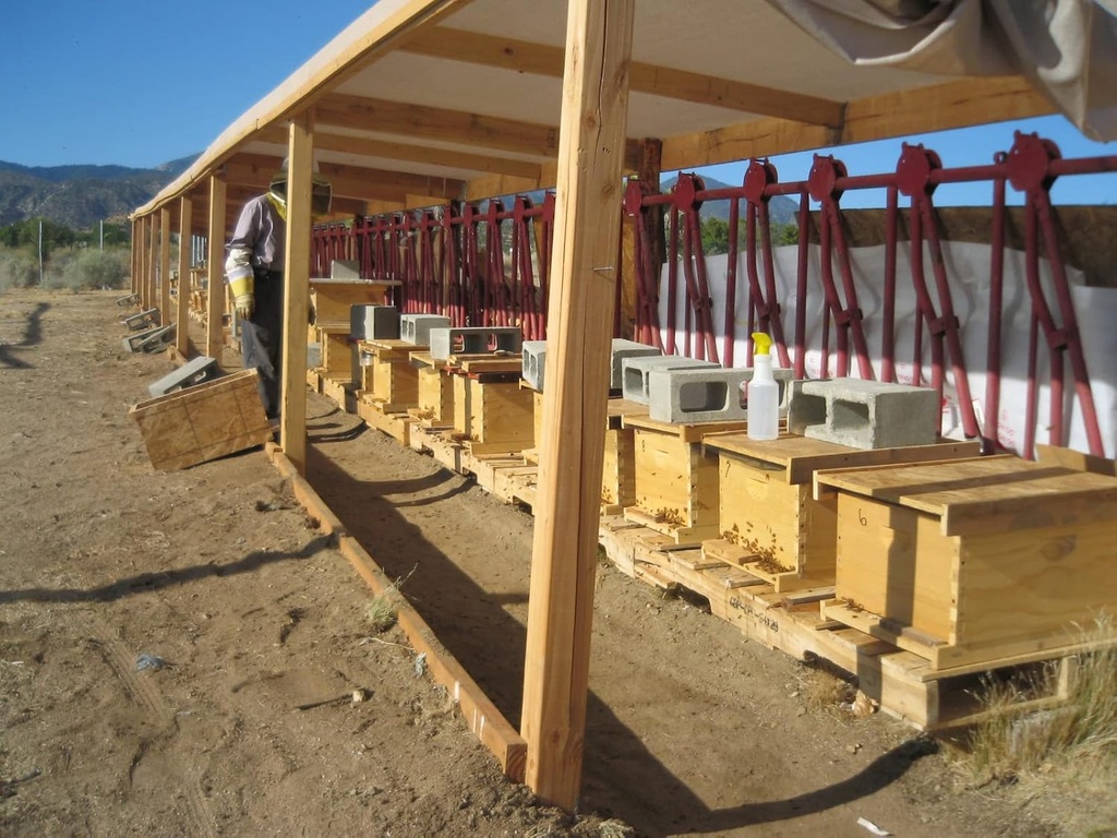 100% Pure Organic Fresh Royal Jelly Nutritious Superfood for Wellness and Beauty (5kg) 4