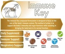 Immune Key - 1.25 lb. - All Natural, GMO-Free, Builds Strong Immune System 3