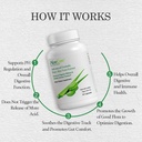 aloecure-organic-aloe-vera-capsules-pack-3.jpg