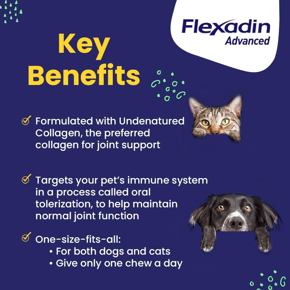 vetoquinol-flexadin-advanced-dog-hip-and-2.jpg