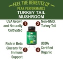 peak-performance-organic-turkey-tail-cap-2.jpg