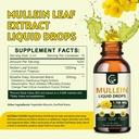 2-pack-mullein-drops-for-lungs---lungs-c-2.jpg