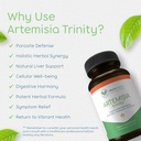 artemisia-trinity-cleansing-for-adults-w-6.jpg
