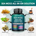 sea-moss-advanced---sea-moss-3000mg-blac-3.jpg