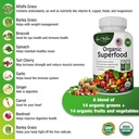 organic-superfood-greens-fruits-and-vegg-4.jpg