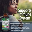 natures-answer-echinacea-alcohol-free-ex-4.jpg