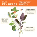 himalaya-stresscare-herbal-supplement-su-3.jpg