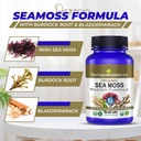 the-food-movement-co-sea-moss-master-for-4.jpg