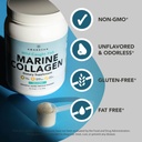 amandean-marine-collagen-duo-500g-contai-3.jpg